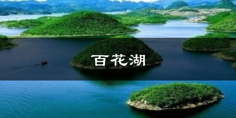 百花湖气温