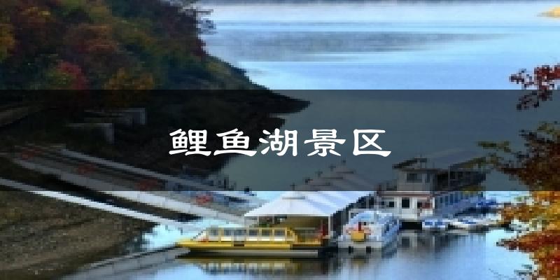 鲤鱼湖景区气温